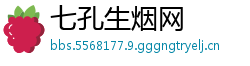 七孔生烟网